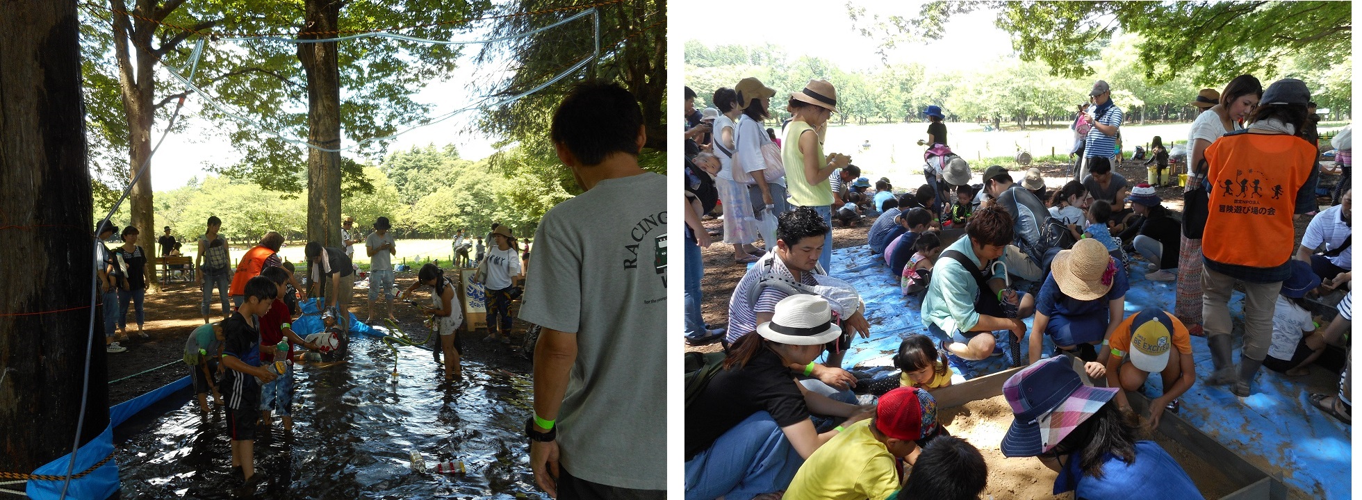 小金井公園わんぱく体験2016