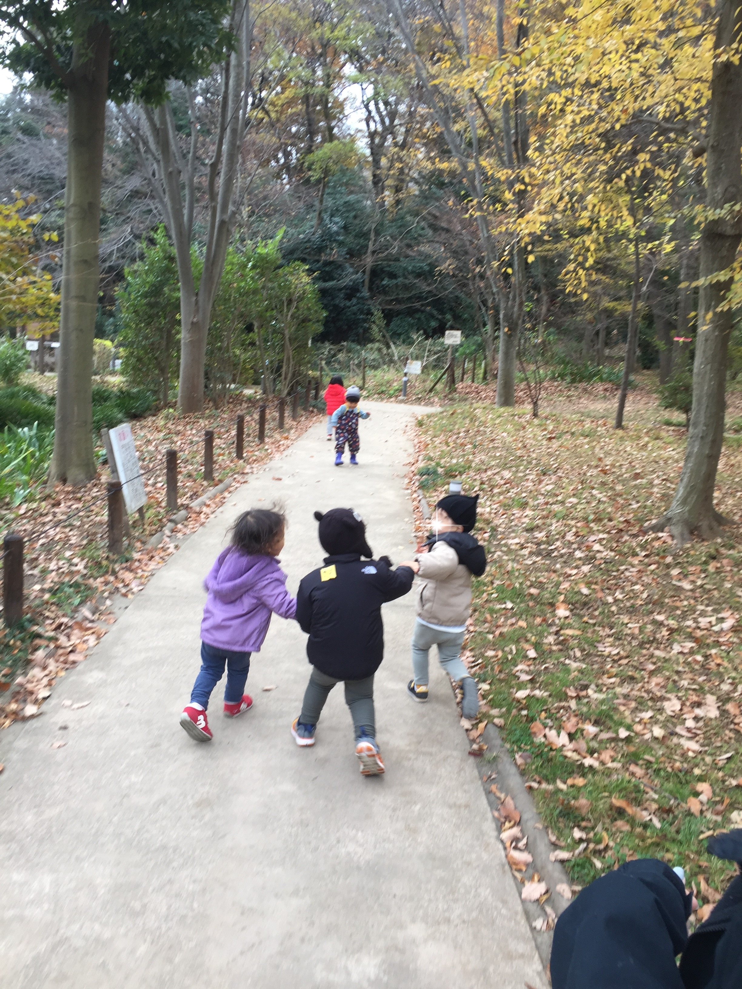 西恋ヶ窪若松公園